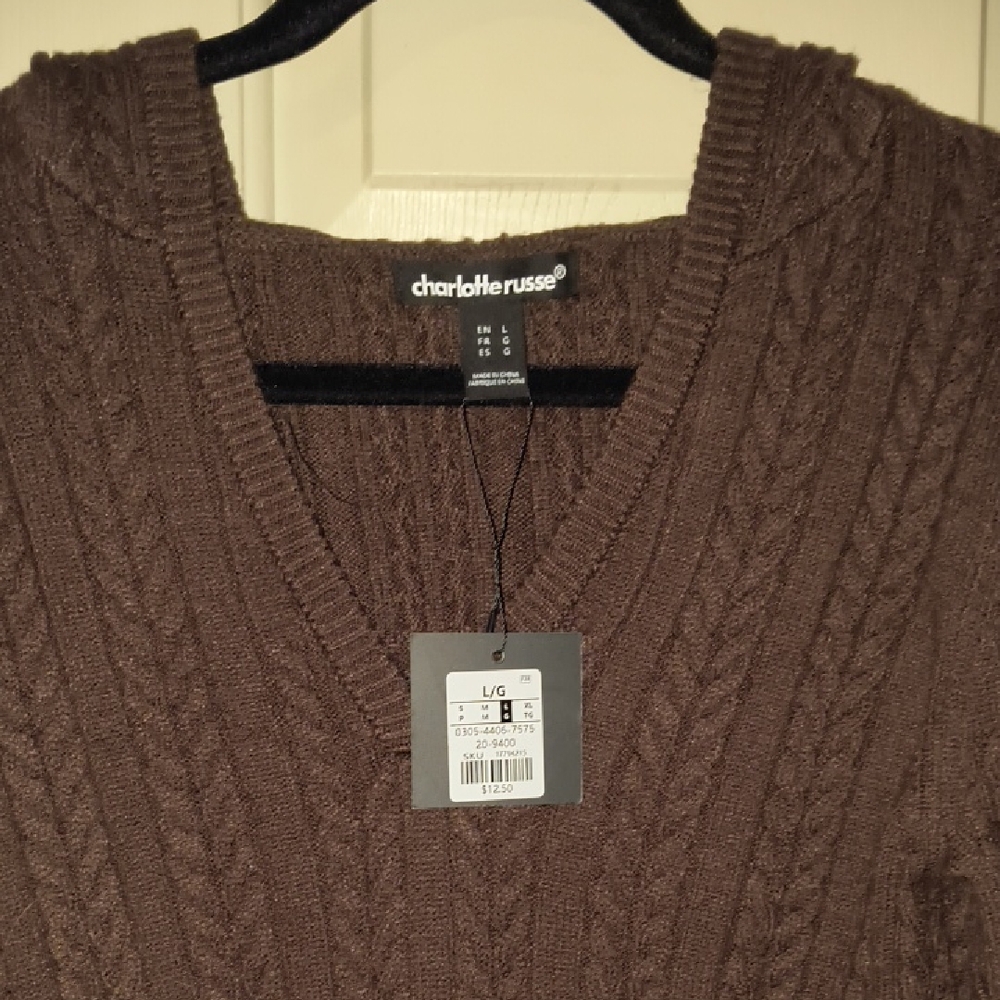 Charlotte Russe V-Neck Hooded Brown Sweater for Women